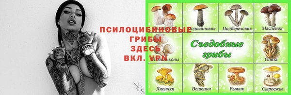 гидра Арсеньев