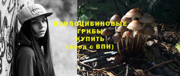 ALPHA-PVP Аркадак