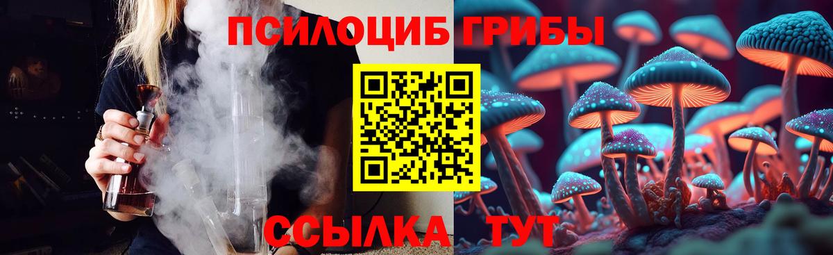 Псилоцибиновые грибы мицелий  Вход с VPN  Заинск 